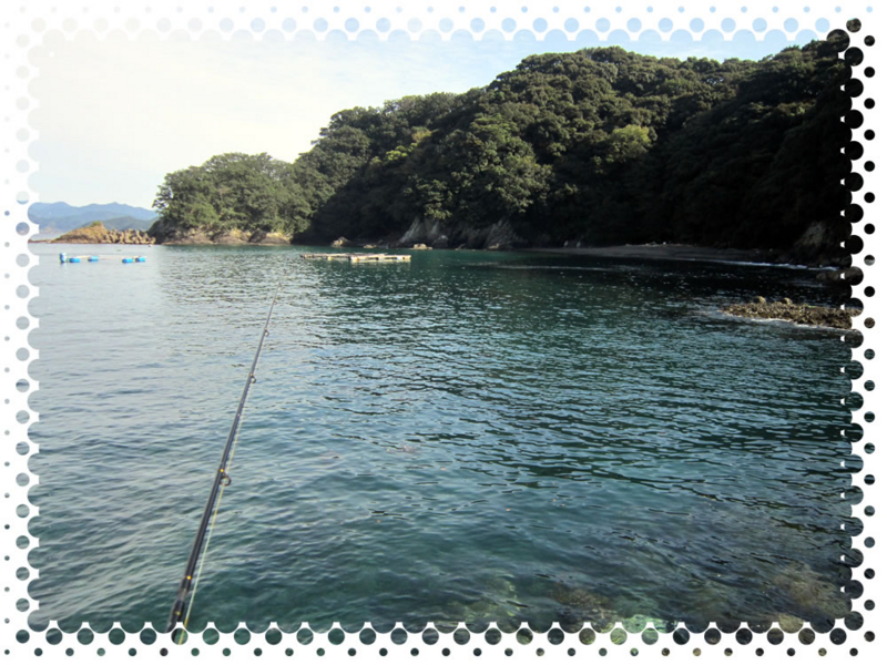 f:id:familyfishing:20161109200241j:plain f:id:familyfishing:20161109200241j:plain