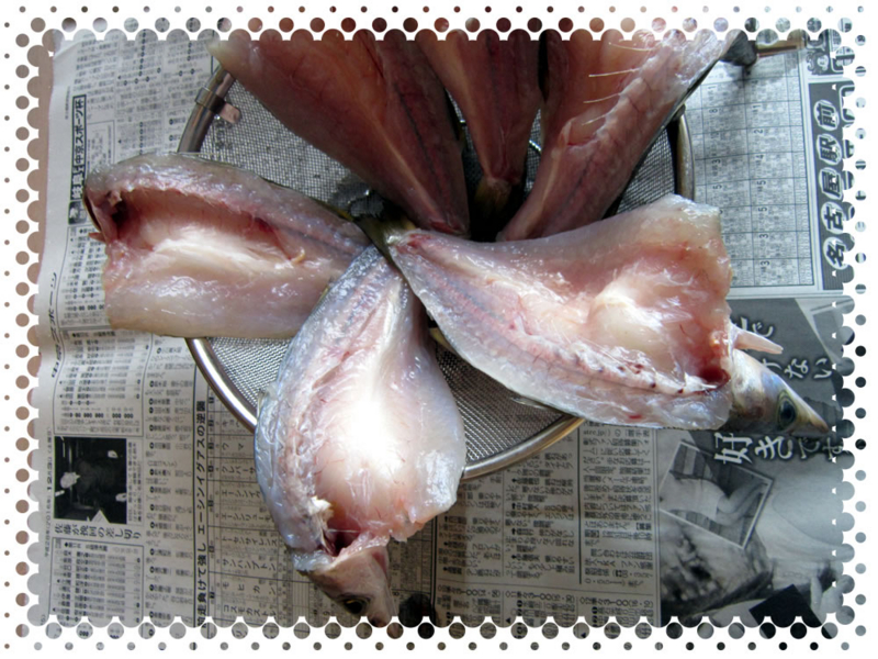 f:id:familyfishing:20170108224721j:plain