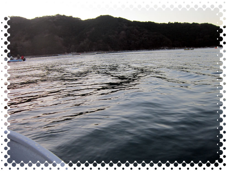 f:id:familyfishing:20170108224730j:plain