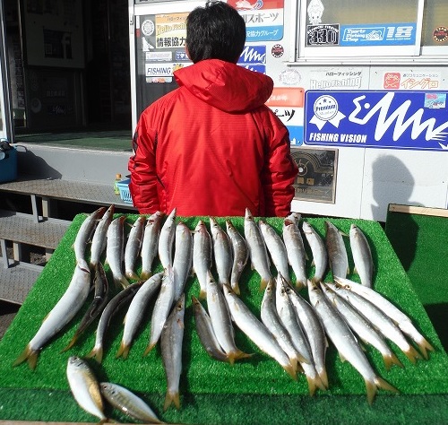 f:id:familyfishing:20170108224732j:plain