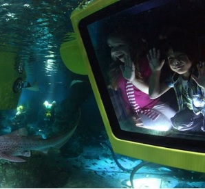 f:id:familyfishing:20170118140106j:plain