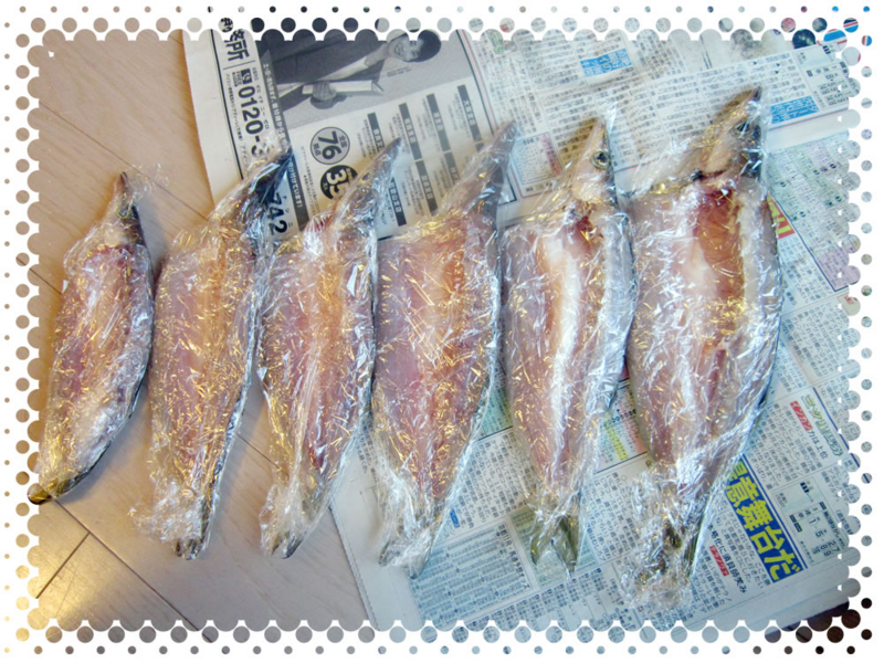 f:id:familyfishing:20170130204714j:plain