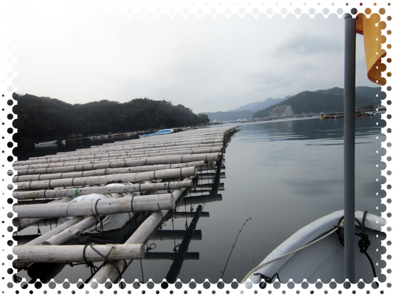 f:id:familyfishing:20170130204722j:plain