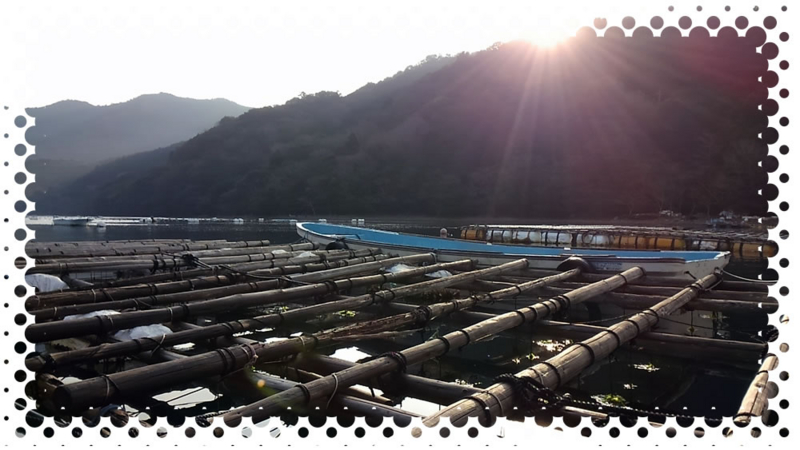 f:id:familyfishing:20170130204729j:plain