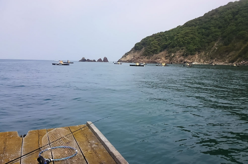 f:id:familyfishing:20180430214204j:plain