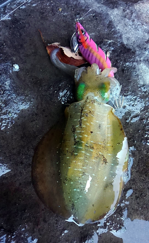 f:id:familyfishing:20180901071729j:plain