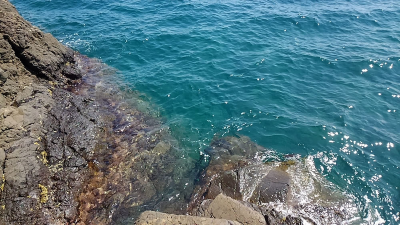 f:id:familyfishing:20180901071738j:plain