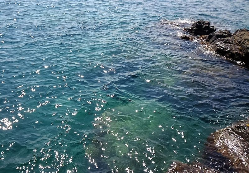f:id:familyfishing:20180901071739j:plain