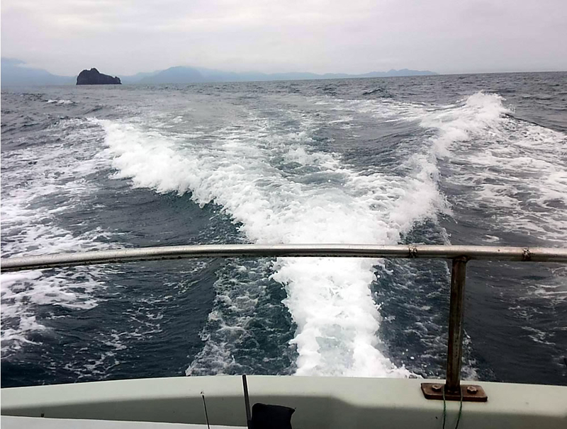 f:id:familyfishing:20180914205305j:plain f:id:familyfishing:20180914205305j:plain
