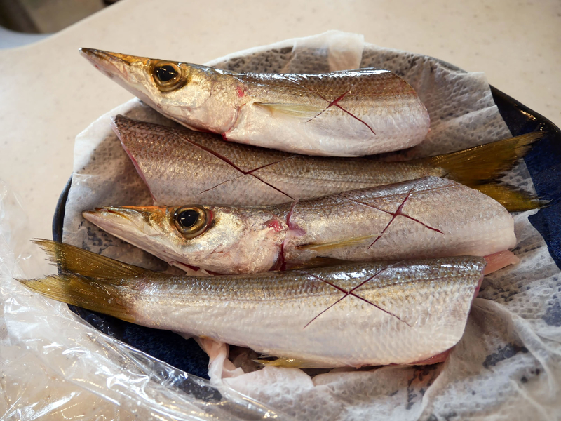 f:id:familyfishing:20190321215800j:plain f:id:familyfishing:20190321215800j:plain