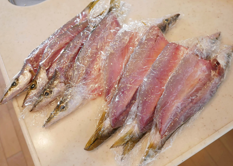 f:id:familyfishing:20190324222156j:plain f:id:familyfishing:20190324222156j:plain