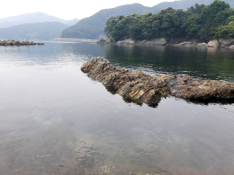 f:id:familyfishing:20190901234503j:plain f:id:familyfishing:20190901234503j:plain
