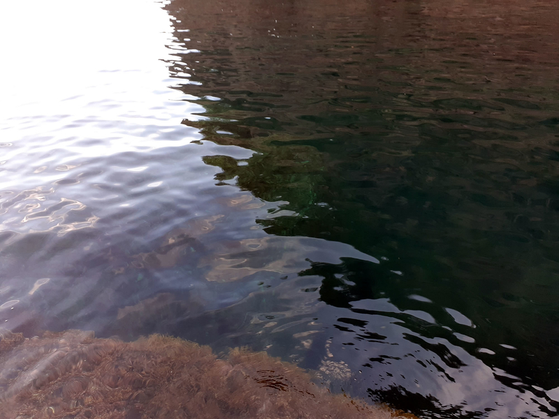 f:id:familyfishing:20190908222016j:plain