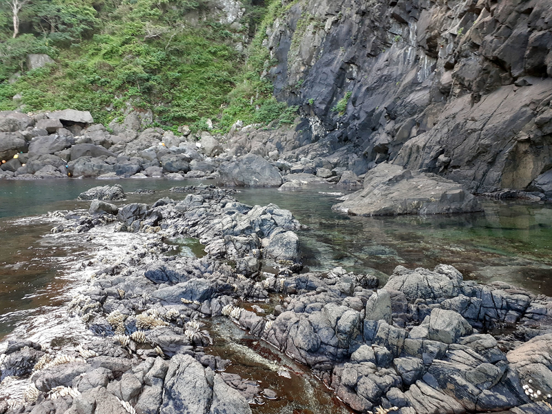 f:id:familyfishing:20190908222053j:plain