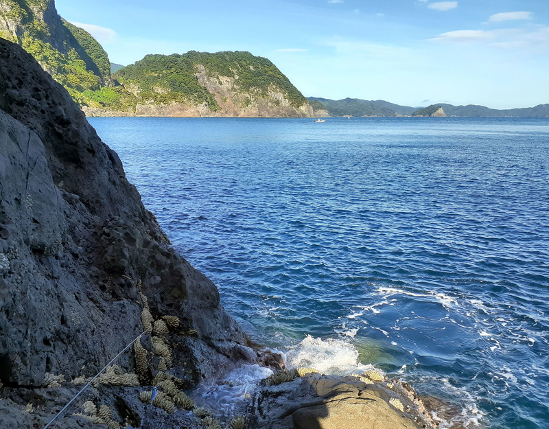 f:id:familyfishing:20190908222123j:plain