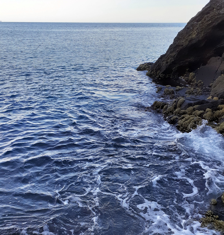 f:id:familyfishing:20190908222203j:plain