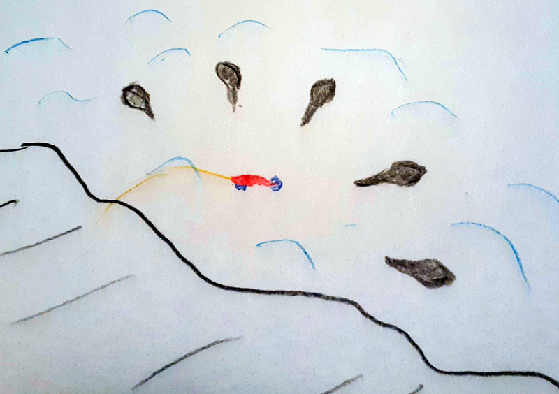 f:id:familyfishing:20190908232712j:plain