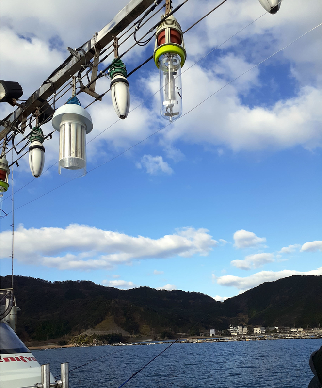 オフショア釣行