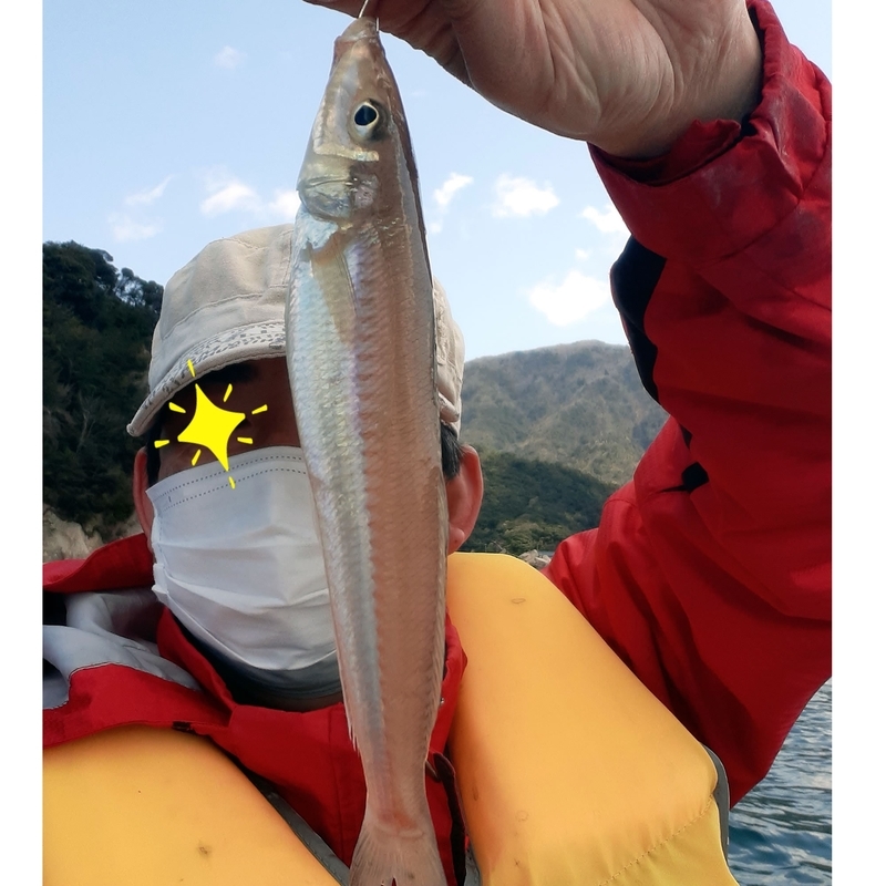 福井県はデカギス狙い