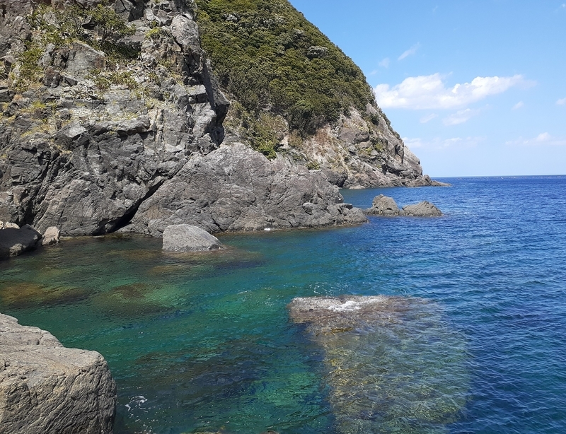 磯場の風景_エギングポイント