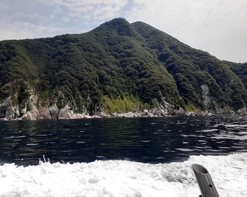 根魚のポイント