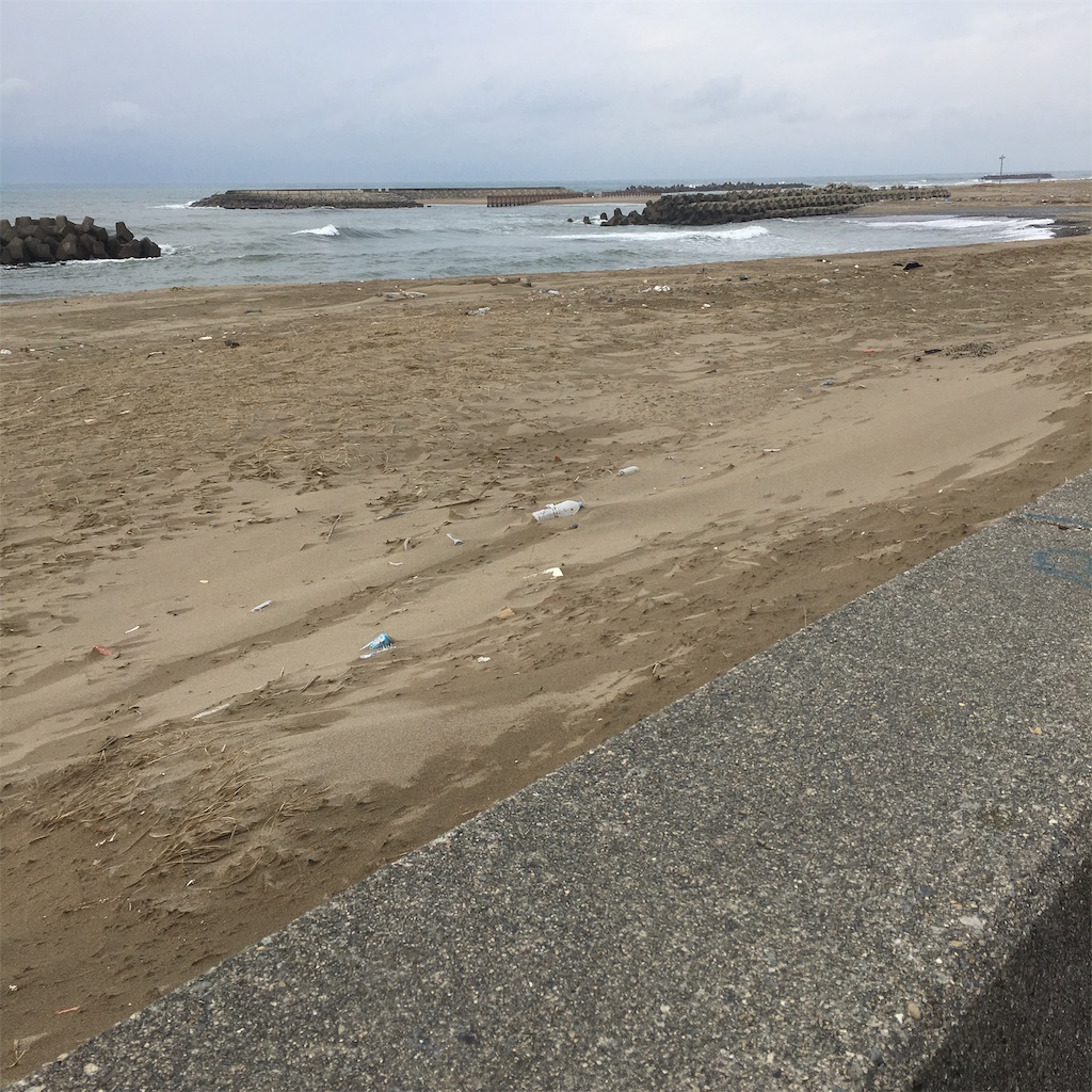 f:id:famima217:20190212212713j:image