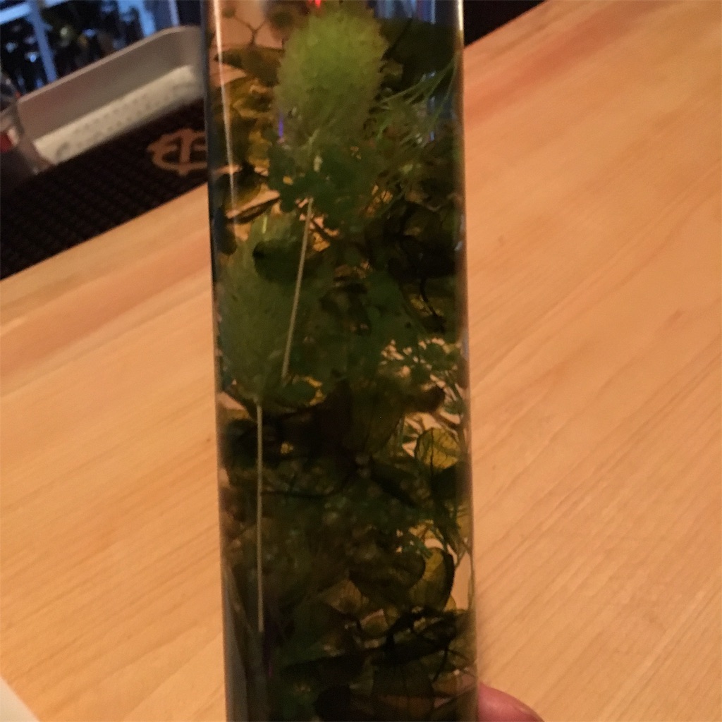 f:id:famima217:20190319065020j:image