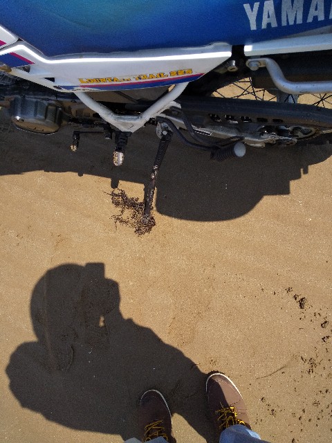 f:id:famima217:20190510135323j:image