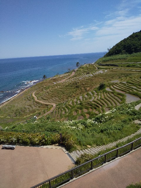 f:id:famima217:20190522155105j:image