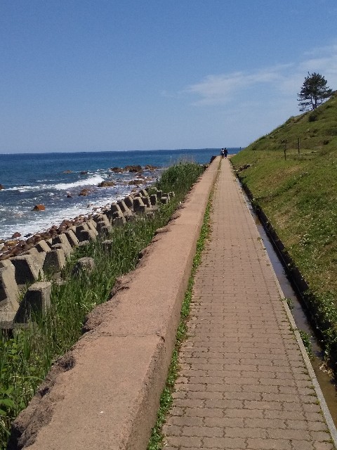 f:id:famima217:20190522160920j:image