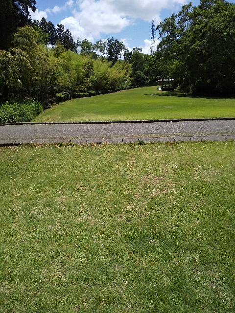 f:id:famima217:20190530144521j:image