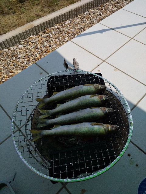 f:id:famima217:20190621190909j:image