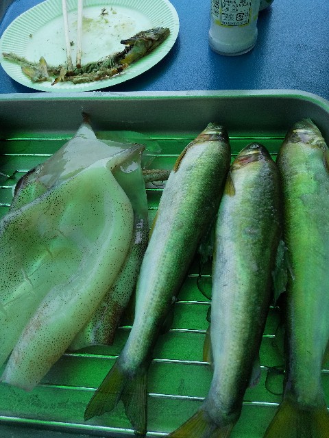 f:id:famima217:20190621191137j:image