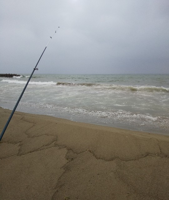 f:id:famima217:20190723225813j:image