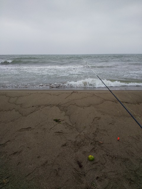 f:id:famima217:20190723230857j:image