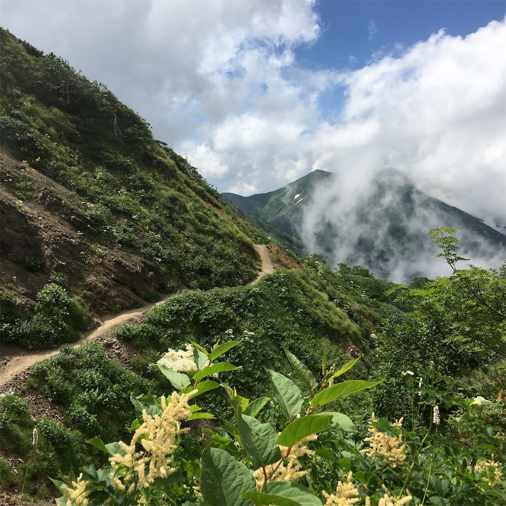 f:id:famima217:20190725185037j:image