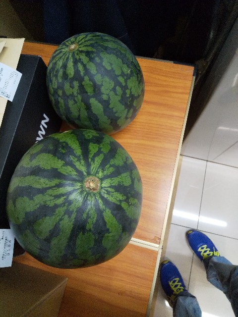 f:id:famima217:20190728122225j:image