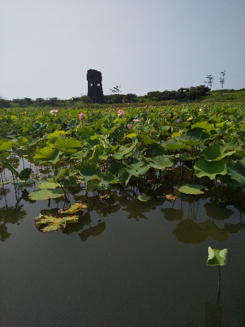 f:id:famima217:20190801155717j:image