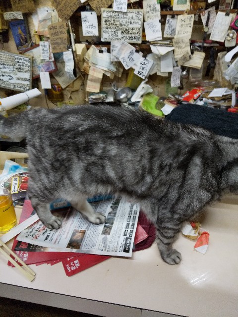 f:id:famima217:20190913071832j:image f:id:famima217:20190913071832j:image