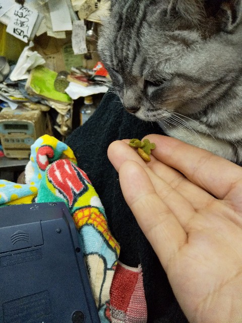 f:id:famima217:20190913072120j:image f:id:famima217:20190913072120j:image