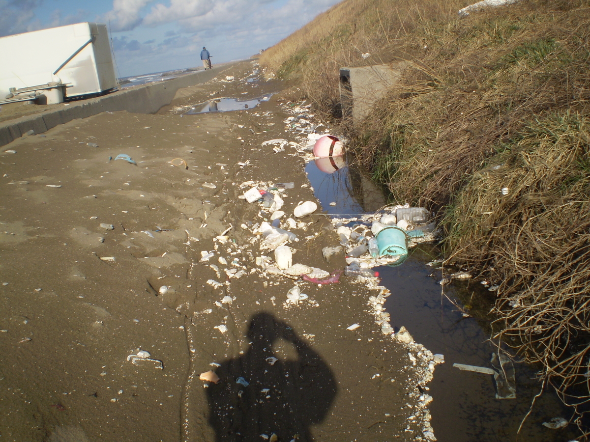 f:id:famima217:20200113143055j:plain