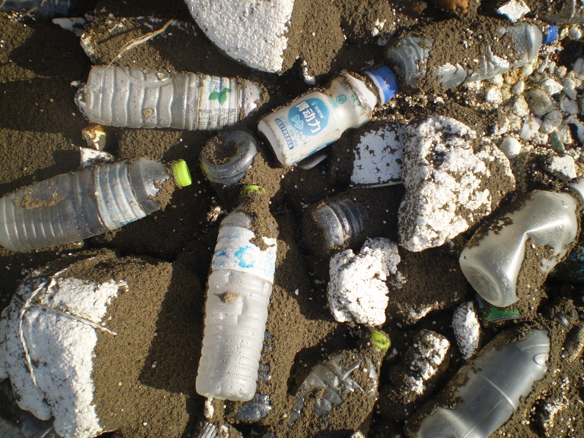 f:id:famima217:20200113143120j:plain