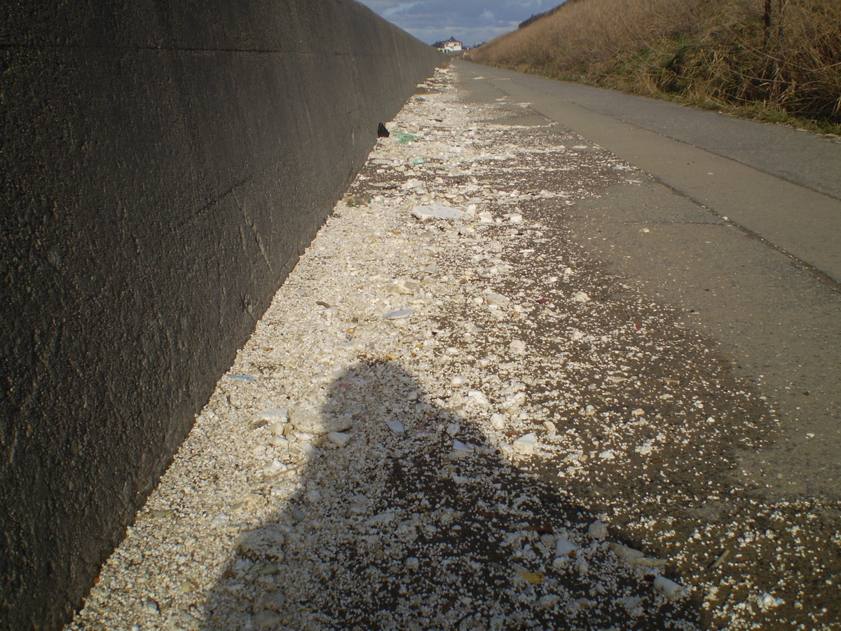 f:id:famima217:20200113143151j:plain