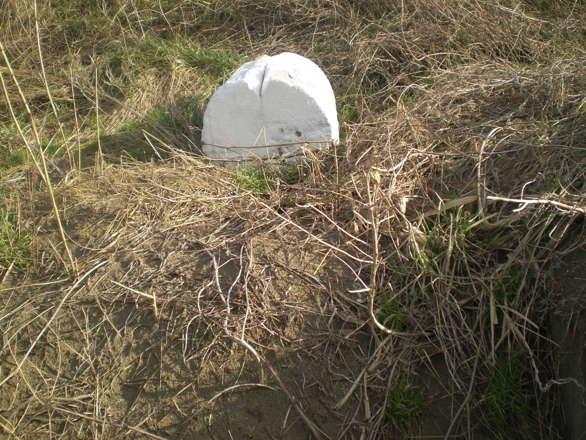 f:id:famima217:20200113143242j:plain