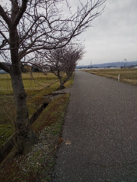 f:id:famima217:20200214143155j:image