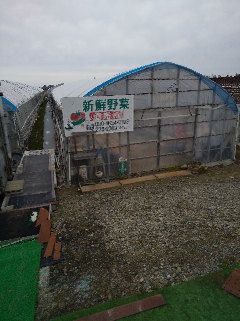 f:id:famima217:20200214143209j:image