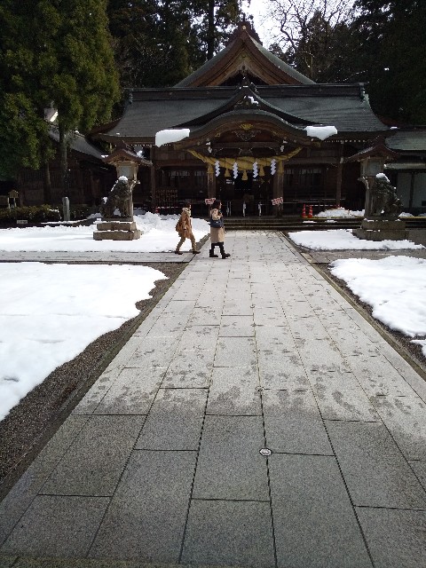 f:id:famima217:20200219163823j:image