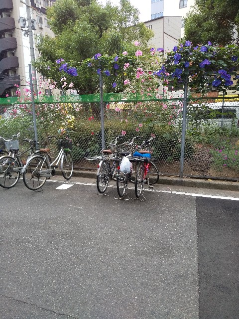 f:id:famima217:20200327150939j:image f:id:famima217:20200327150939j:image