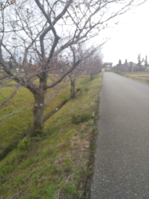 f:id:famima217:20200329213243j:image f:id:famima217:20200329213243j:image