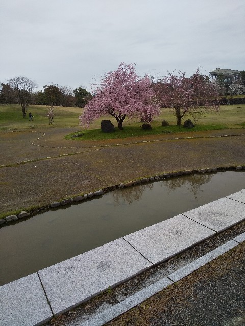 f:id:famima217:20200401150020j:image